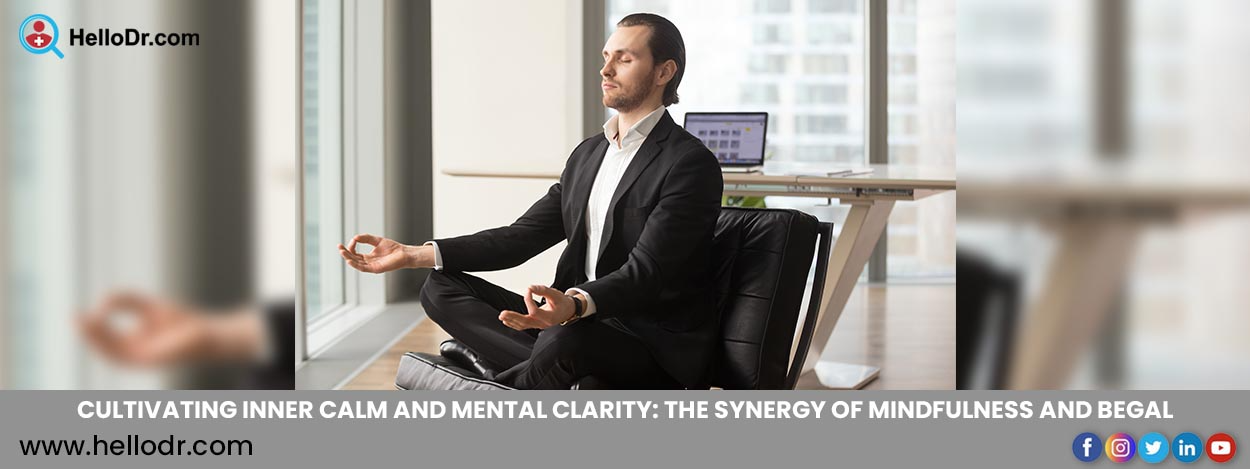 Cultivating Inner Calm and Mental Clarity: The Synergy of Mindfulness and BEGAL