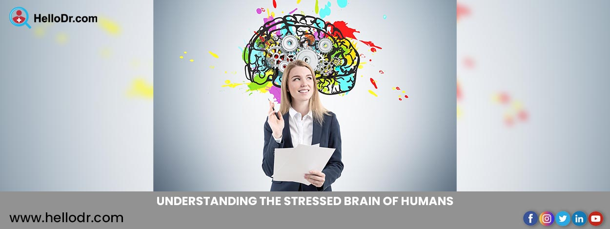 Understanding the Stressed Brain of Humans