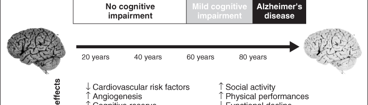 Cognitive Decline and Dementia 